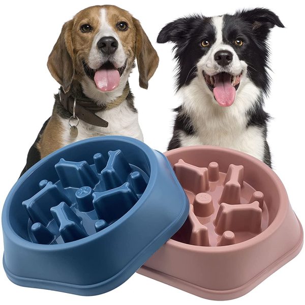 Dog Cat Food Bowl Pet Supplies