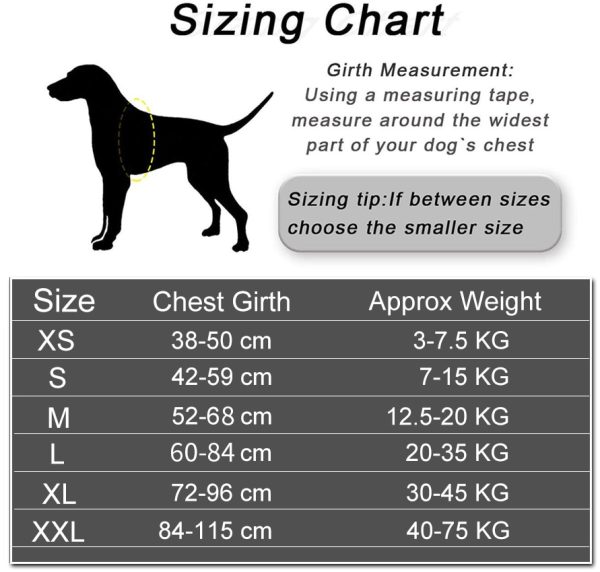 Custom Patch Outdoor Walking Dog Supplies - Image 7