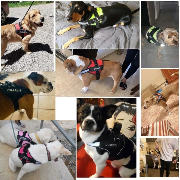 Dog Harness NO PULL Reflective Breathable Adjustable Pet Harness For Dog Vest ID Custom Patch Outdoor Walking Dog Supplies - Image 4